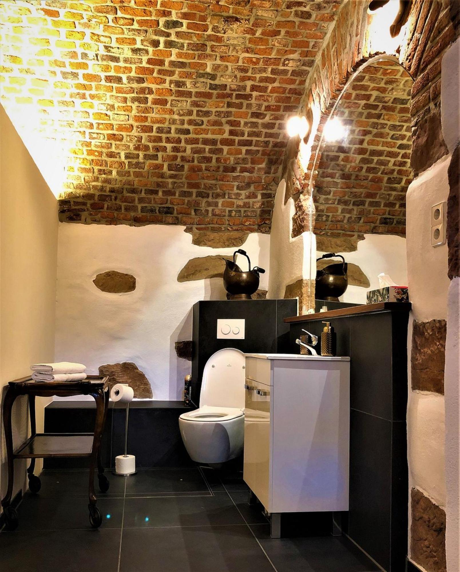 פרייבורג Historical Luxury Homes - Stadtvilla Mit Jacuzzi Und Garten מראה חיצוני תמונה